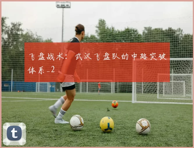 飞盘战术：武汉飞盘队的中路突破体系_2