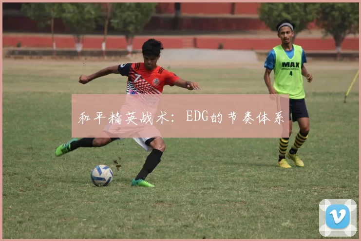 和平精英战术：EDG的节奏体系