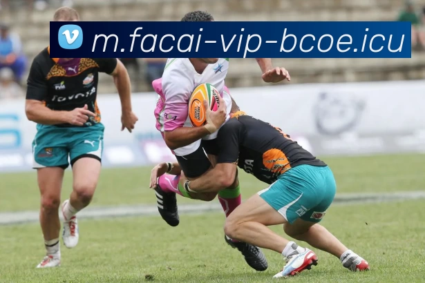 数据防护可视化